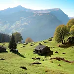 Heidi By Interhome