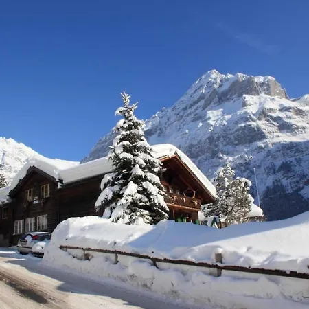 公寓 Heidi By Interhome 格林德瓦