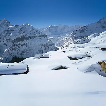 Apartment Heidi By Interhome Grindelwald