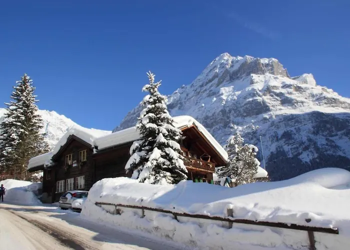 דירה Heidi By Interhome גרינדלוולד