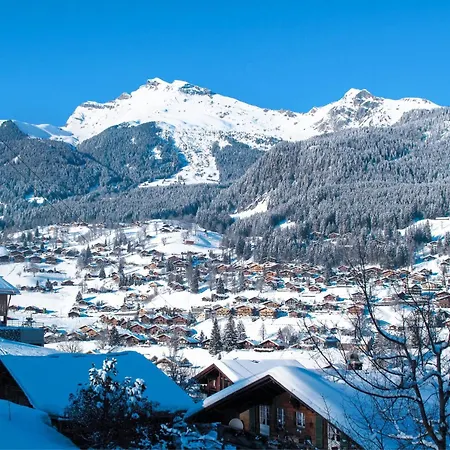 Heidi By Interhome شقة جريندلوالد